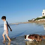 Luna Mare Mit Terrasse & Poolnaehe, Direkt Am * Privlaka (Zadar)